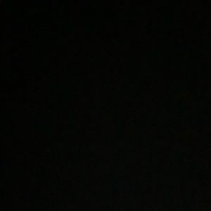 Meet your Posher, Lilly